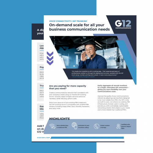 G12 SIP Trunking Datasheet (2)